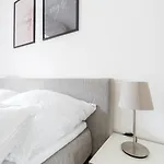 Spacious 2 - - 6 Guests, 24h Check-in, Near Vienna *