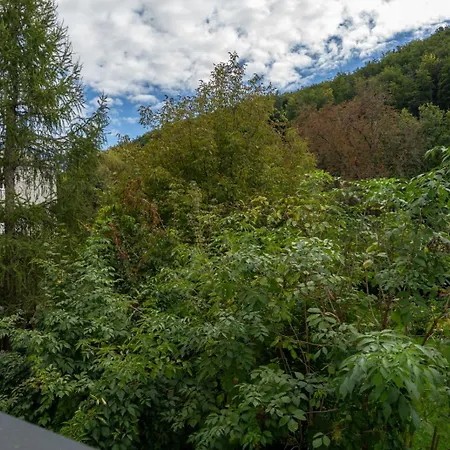 Spacious 2 - - 6 Guests, 24h Check-in, Near Vienna Purkersdorf