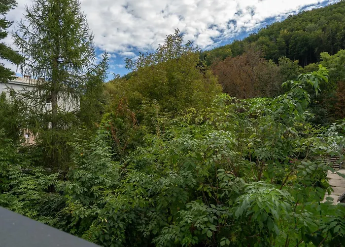 Spacious 2 - - 6 Guests, 24h Check-in, Near Vienna Purkersdorf